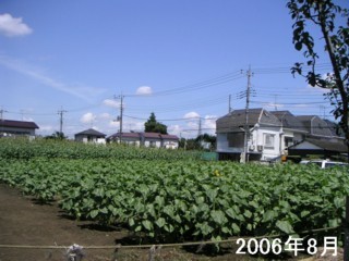 2006/08