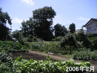 2006/08