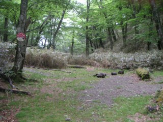 ����ƽ��ɸ��1416����