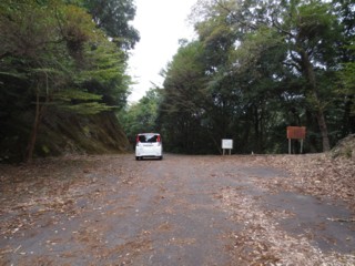 �ź���Į�������ջԤ�